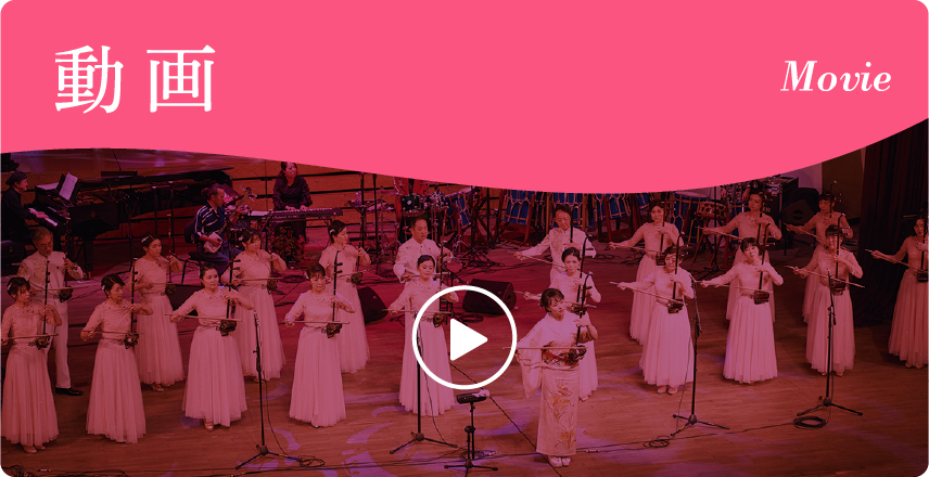 楊雪ファンクラブ　動画ページ